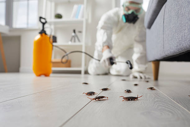 Commercial Rodent Management in St. Bonifacius